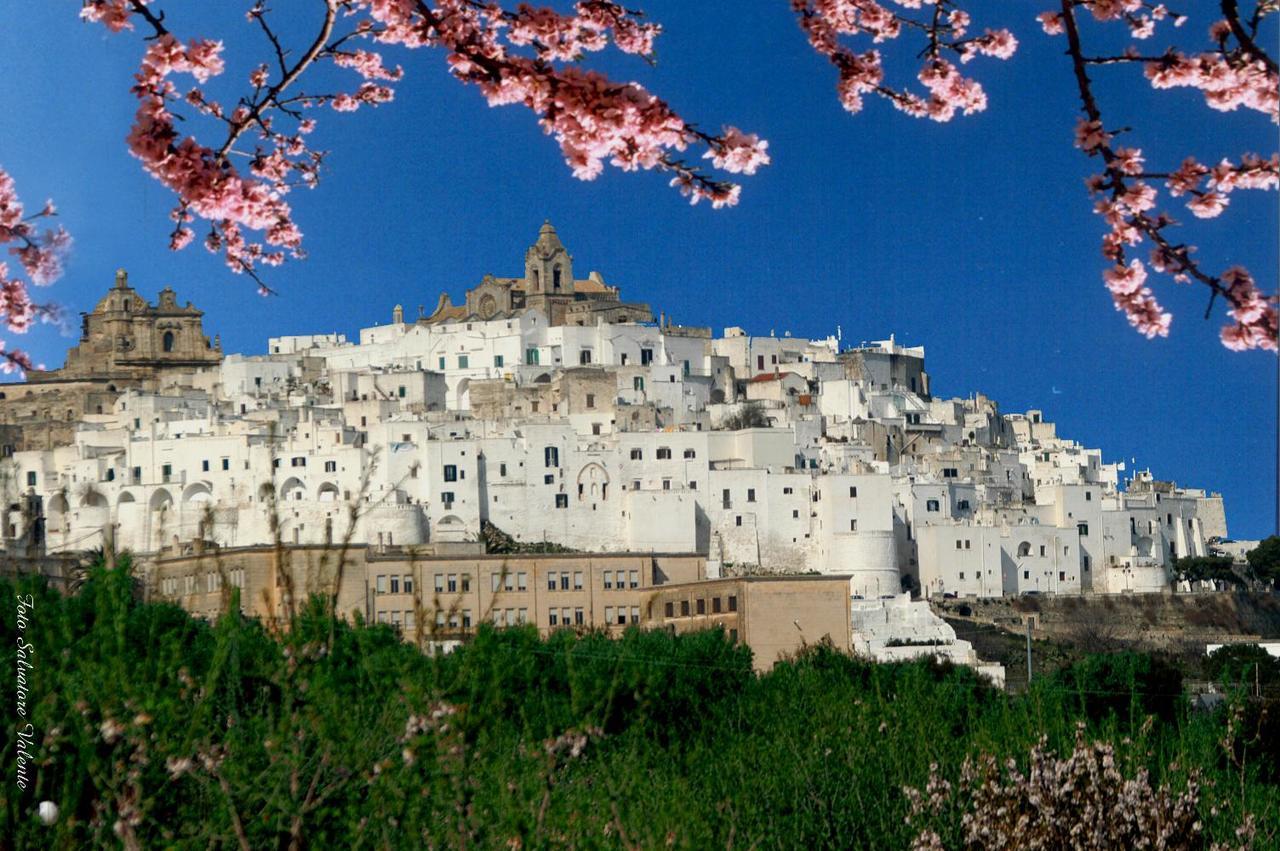 Casa Carlotta Villa Ostuni Exterior foto